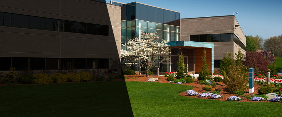 San Martin Landscapers