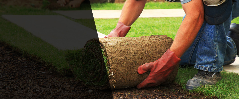 San Martin Landscapers